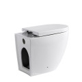 Floor Standing Back to Wall Toilet with Concealed Cistern Bath Toilet